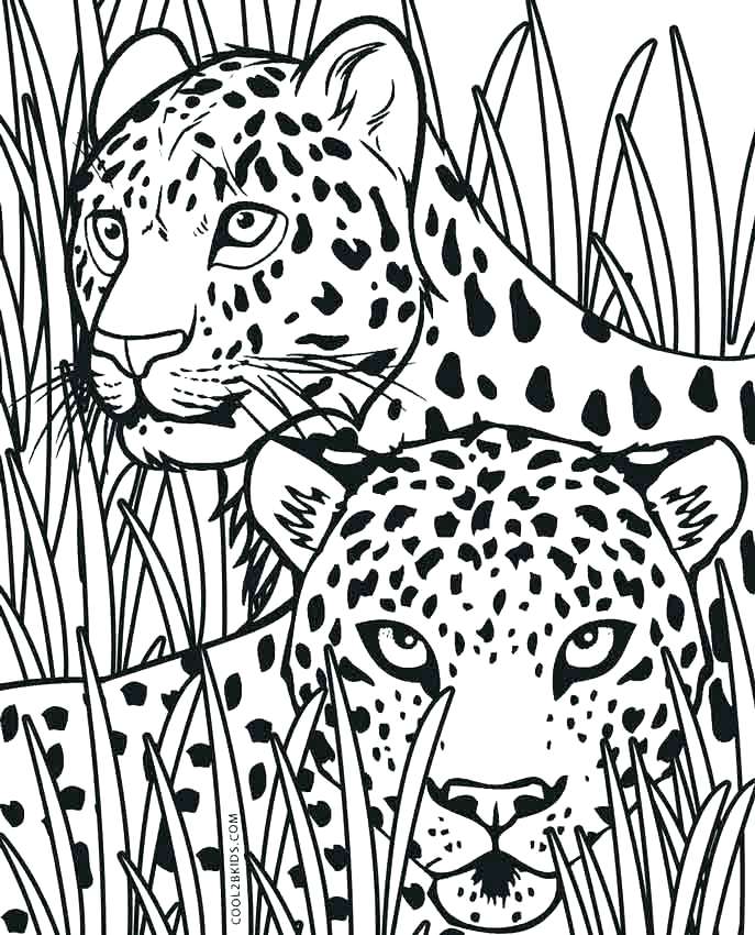 Cheetah Print Coloring Pages Cheetah Print Coloring Pages 687x850 Cheetah Print Coloring Pages Cheetah Print Coloring Pages