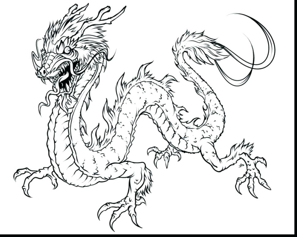 Endangered Species Coloring Pages Terrific Endangered Species 970x775 Endangered Species Coloring Pages Terrific Endangered Species