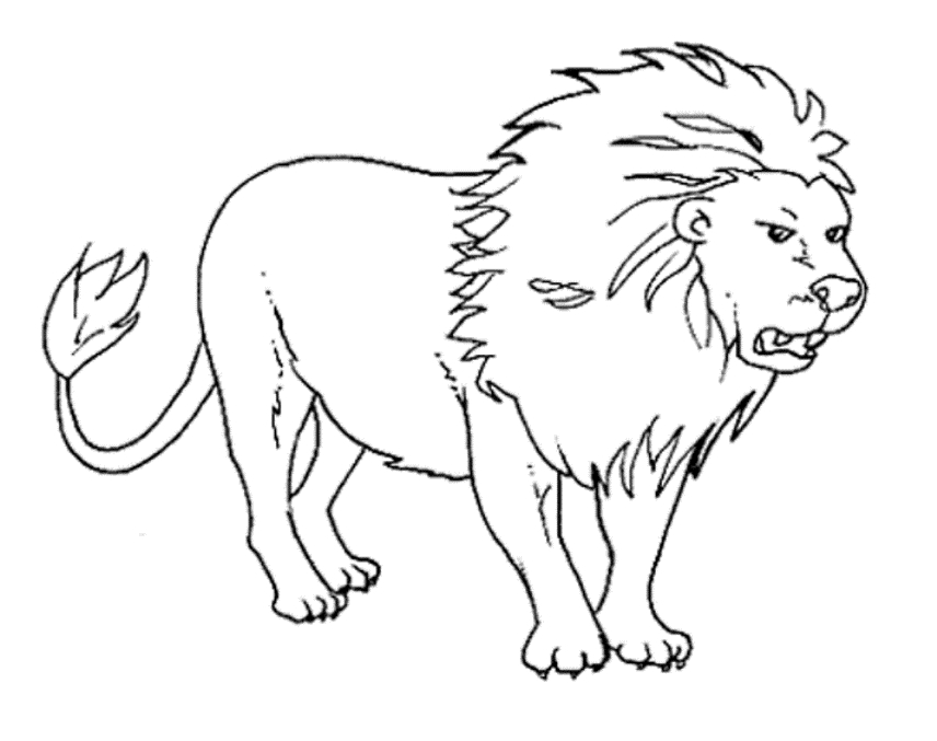 Wild Animal Coloring Pages For Adults Coloring Page Zone 856x677 Wild Animal Coloring Pages For Adults Coloring Page Zone