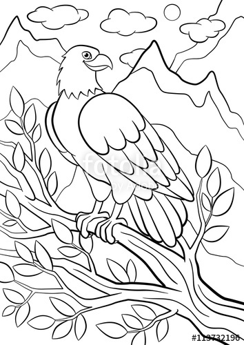 354x500 Coloring Pages. Wild Birds. Cute Eagle Sits On The Tree Branch