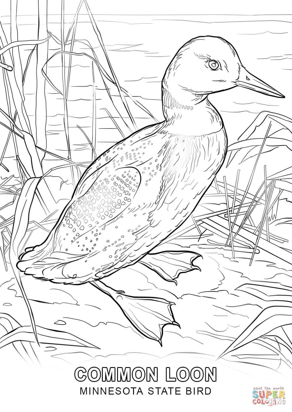 1020x1440 Minnesota Coloring Page