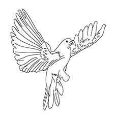 230x230 Top 20 Free Printable Bird Coloring Pages Online