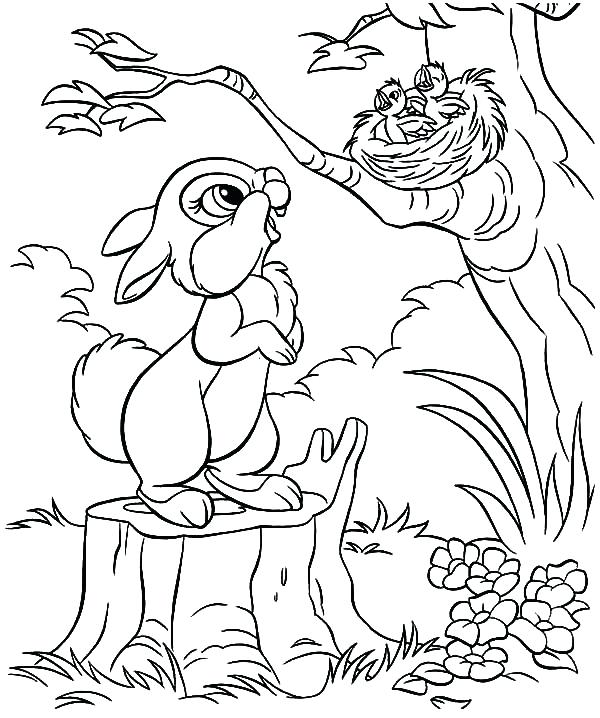 600x718 Baby Bird Coloring Pages 2 Coloring Pages Collection