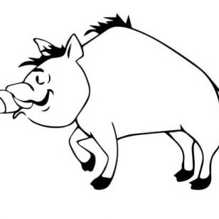 Pictures Of Wild Boars Coloring Pages 308x308 Pictures Of Wild Boars Coloring Pages