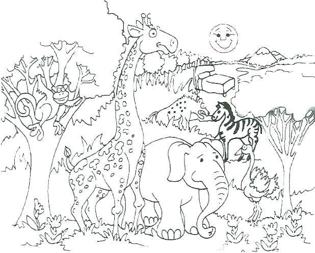 Wild Animals Coloring Pages Animal Coloring Pages Free Large Size 618x497 Wild Animals Coloring Pages Animal Coloring Pages Free Large Size
