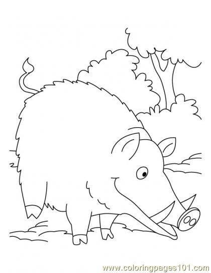 Wild Boar Coloring Page2 Coloring Page 420x543 Wild Boar Coloring Page2 Coloring Page