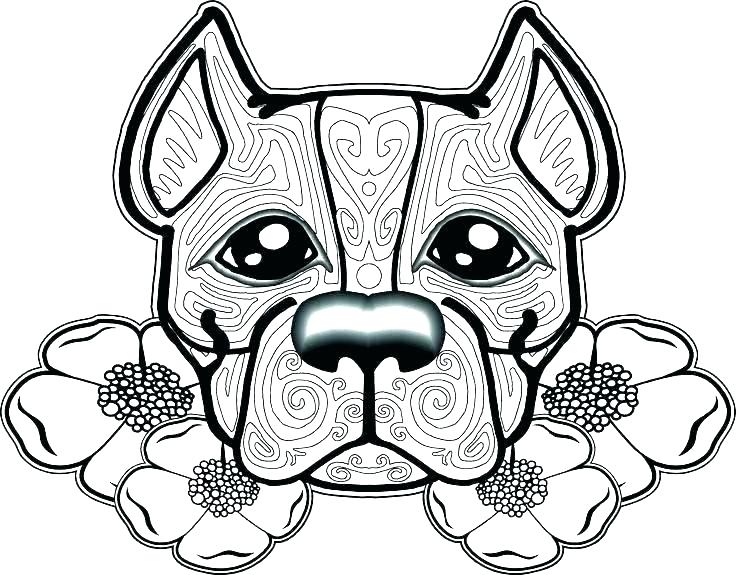 Free Coloring Pages Dogs Dog Coloring Pages Free Puppy Coloring 736x575 Free Coloring Pages Dogs Dog Coloring Pages Free Puppy Coloring