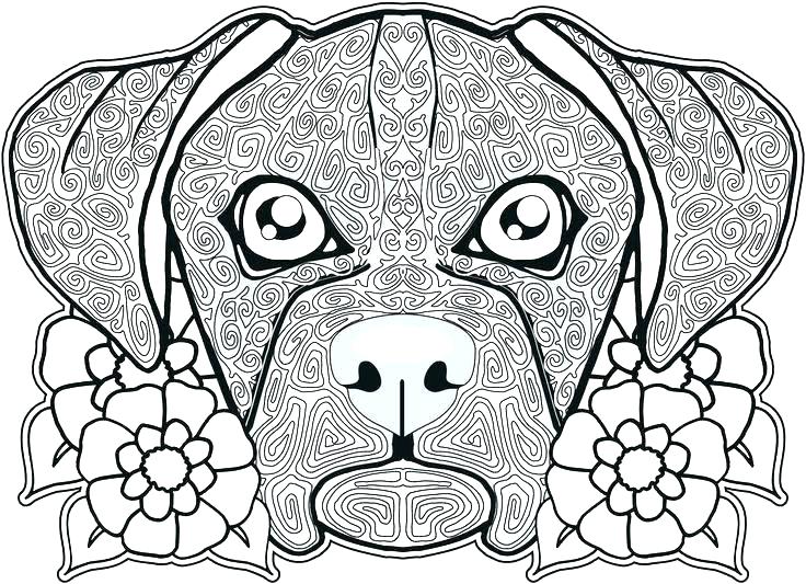 Free Coloring Pages Dogs Kids Free Coloring Pictures Dogs Free 736x533 Free Coloring Pages Dogs Kids Free Coloring Pictures Dogs Free