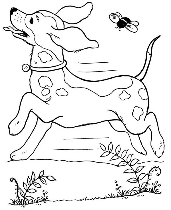 Free Printable Coloring Pages 600x734 Free Printable Coloring Pages