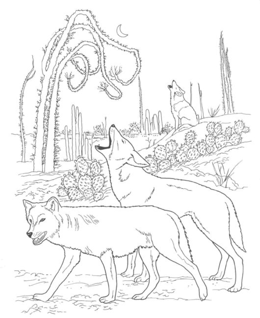 Wild Dog Coloring Pages 5 Nice Coloring Pages For Kids 530x650 Wild Dog Coloring Pages 5 Nice Coloring Pages For Kids