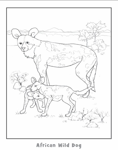 African Wild Dog Colouring Pages, African Wild Dog Coloring Pages 393x500 African Wild Dog Colouring Pages, African Wild Dog Coloring Pages