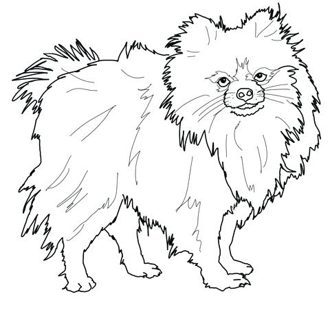 African Wild Dog Coloring Pages 480x454 African Wild Dog Coloring Pages