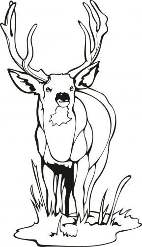 Coloring Pages ~ Hunting Coloring Pages Mammals Wild Dog 289x500 Coloring Pages ~ Hunting Coloring Pages Mammals Wild Dog