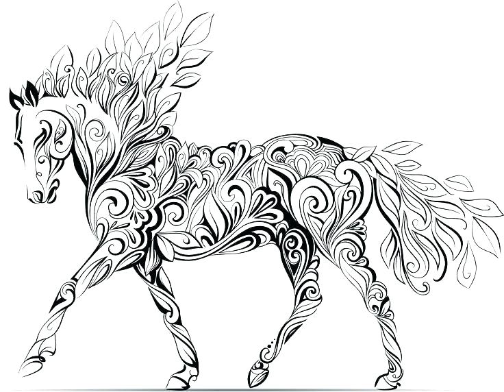 Seahorse Coloring Page For Kids 736x572 Seahorse Coloring Page For Kids