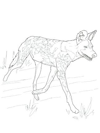 Black Mamba Coloring Pages Click To See Printable Version Of Wild 323x430 Black Mamba Coloring Pages Click To See Printable Version Of Wild