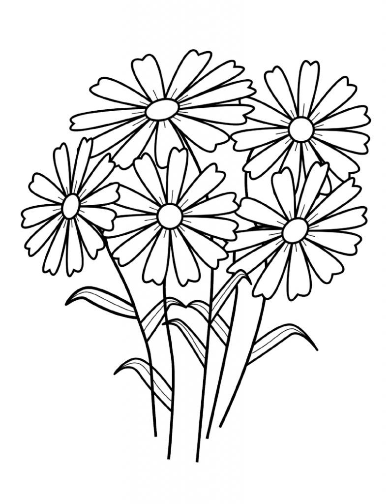 Free Printable Flower Coloring Pages For Kids Wild Flowers 791x1024 Free Printable Flower Coloring Pages For Kids Wild Flowers