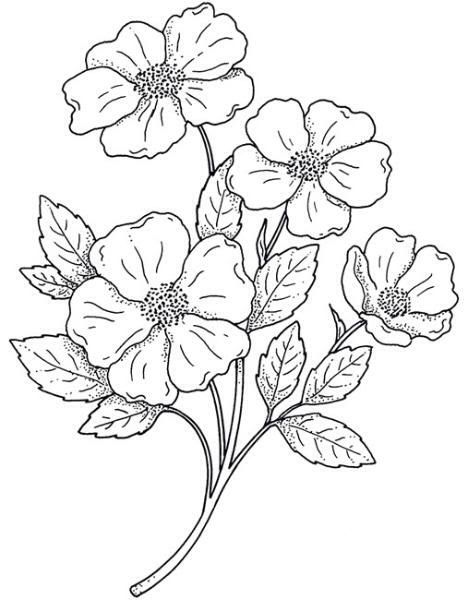 Pin By Solane Maria On Risco Embroidery, Flowers 468x600 Pin By Solane Maria On Risco Embroidery, Flowers