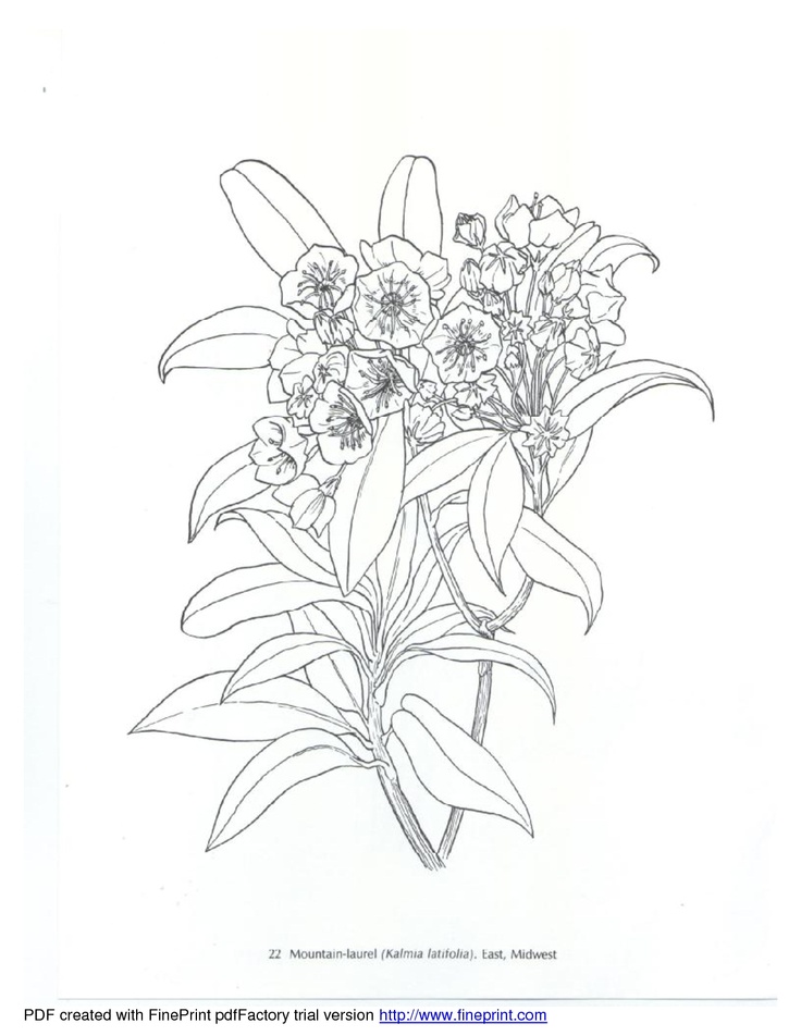 89 Best Printable Flower Pages Images On Embroidery 736x952 89 Best Printable Flower Pages Images On Embroidery