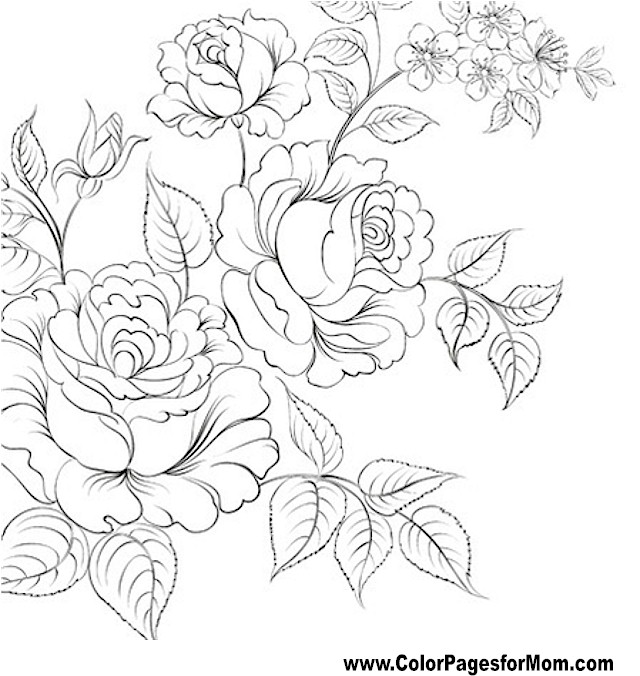 Advanced Coloring Pages 640x676 Advanced Coloring Pages