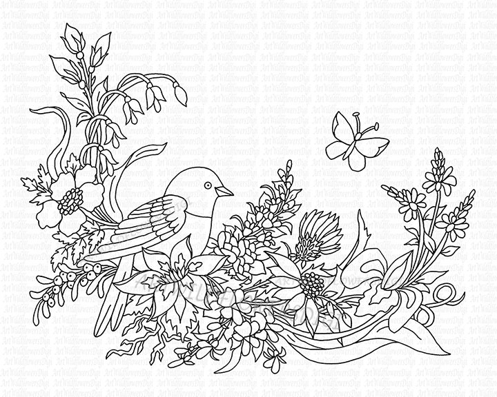 Bird Digi Stamp Adult Coloring Sheet Wildflower Vine Print 720x576 Bird Digi Stamp Adult Coloring Sheet Wildflower Vine Print