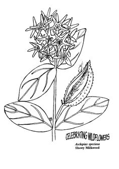 Bohemian Flowers Stock Photos, Images, Amp Pictures Shutterstock 236x336 Bohemian Flowers Stock Photos, Images, Amp Pictures Shutterstock