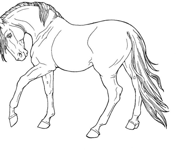 Horse Coloring Pages Printable Free Wild Horse Coloring 678x600 Horse Coloring Pages Printable Free Wild Horse Coloring