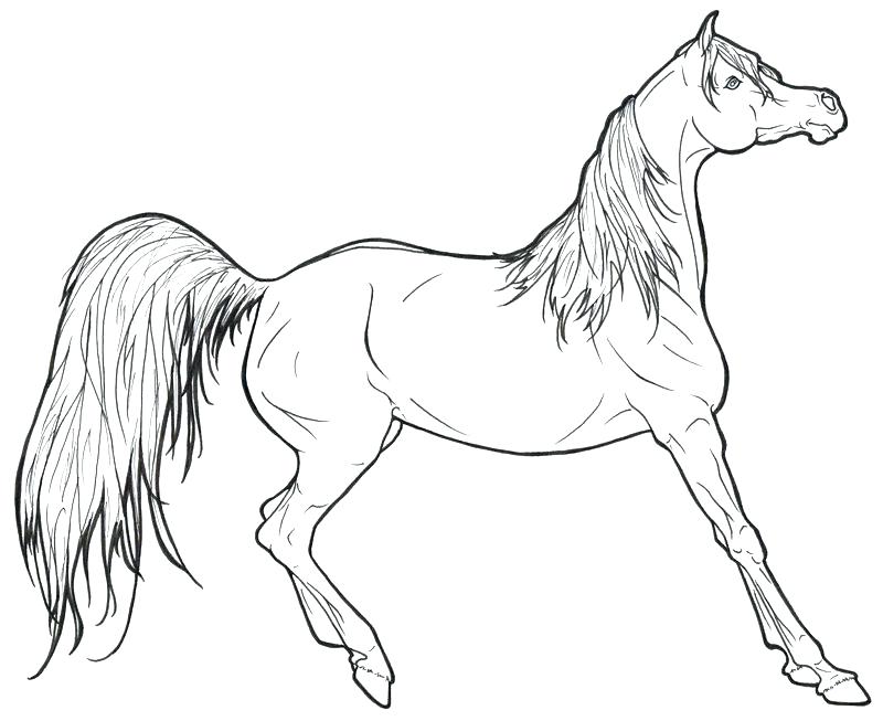 Mustang Horse Coloring Pages Horses Coloring Pages Packed 800x653 Mustang Horse Coloring Pages Horses Coloring Pages Packed