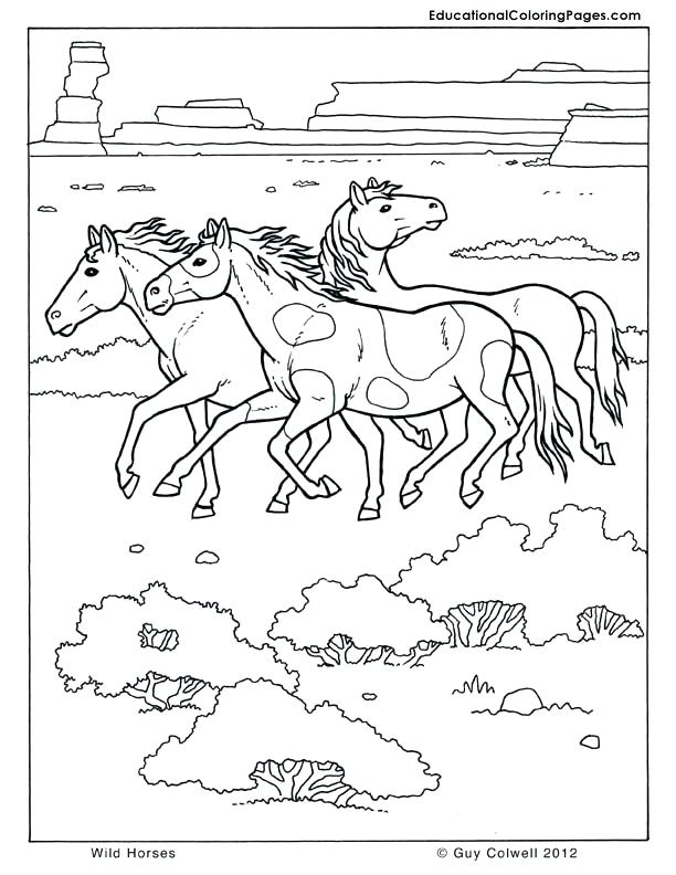 Wild Horses Coloring Pages Horse Coloring Pages Printable Fee 612x792 Wild Horses Coloring Pages Horse Coloring Pages Printable Fee