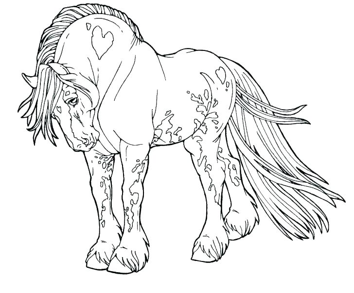 Wild Horses Coloring Pages 728x604 Wild Horses Coloring Pages