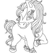 Wild Horse Coloring Pages 220x220 Wild Horse Coloring Pages