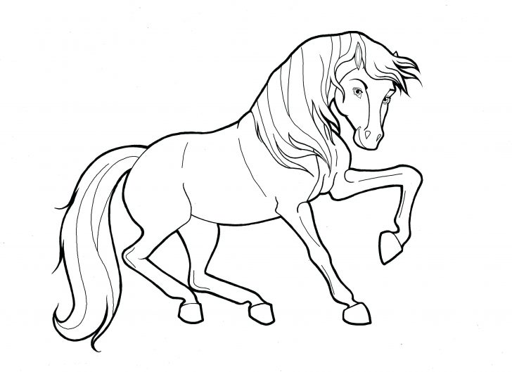 Cute Baby Horse Coloring Pages Fine Spirit Contemporary Resume 728x529 Cute Baby Horse Coloring Pages Fine Spirit Contemporary Resume
