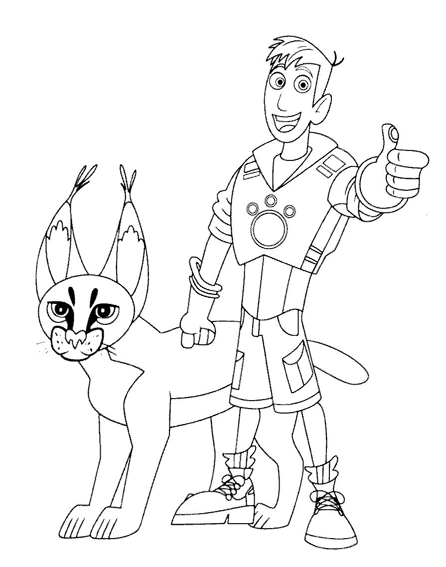 895x1138 Kratts Coloring Pages Amazing Wild Page