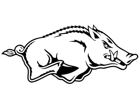 480x318 Razorback Animal Coloring Page