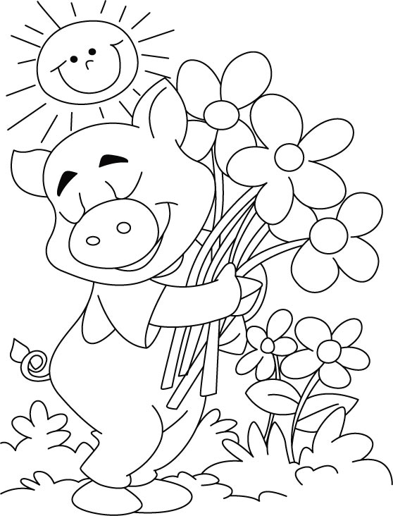 558x732 Top 93 Pig Coloring Pages