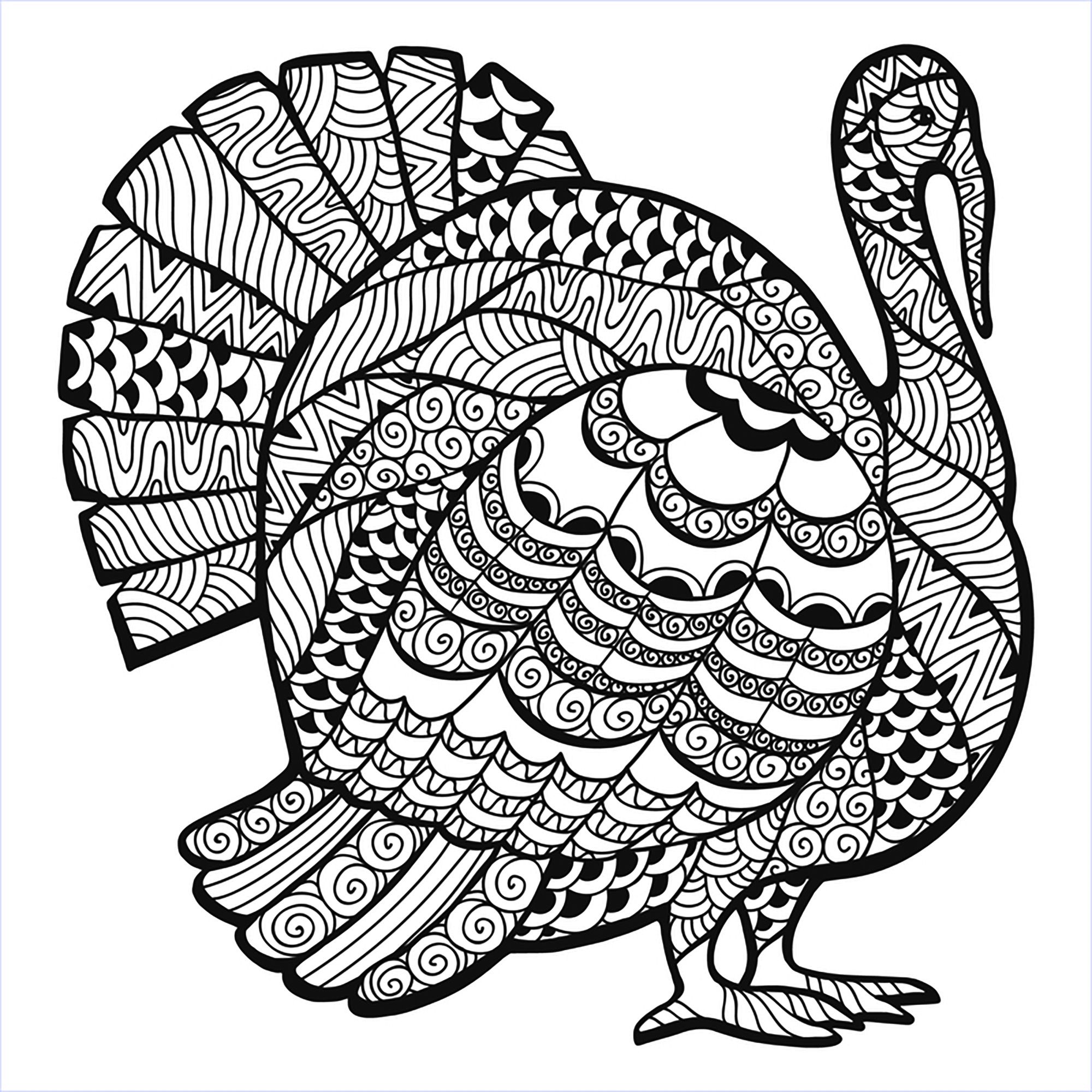 2000x2000 Thanksgiving Turkey Zentangle Coloring Page, From The Gallery