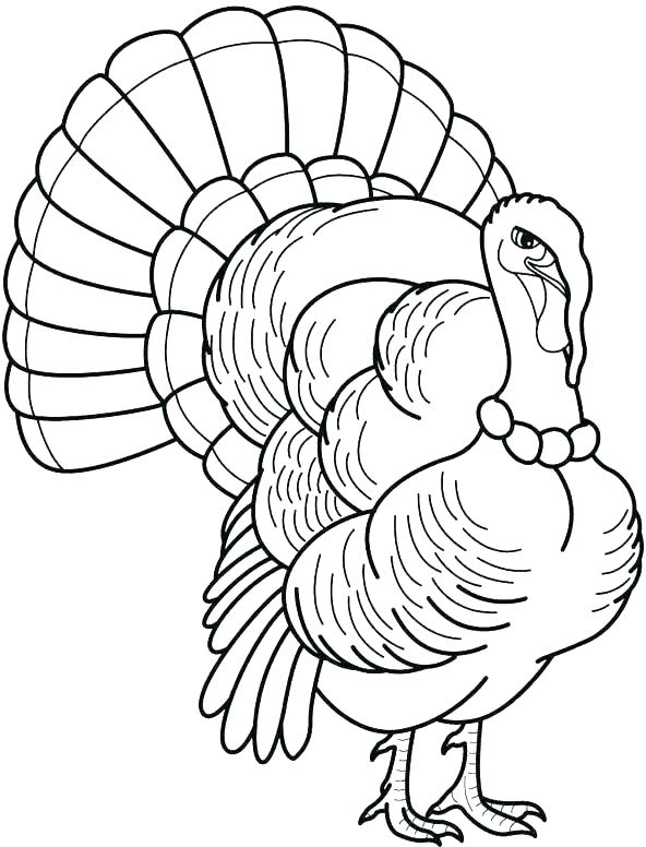 592x776 Coloring Page Of A Turkey Free Turkey Coloring Page Coloring Page