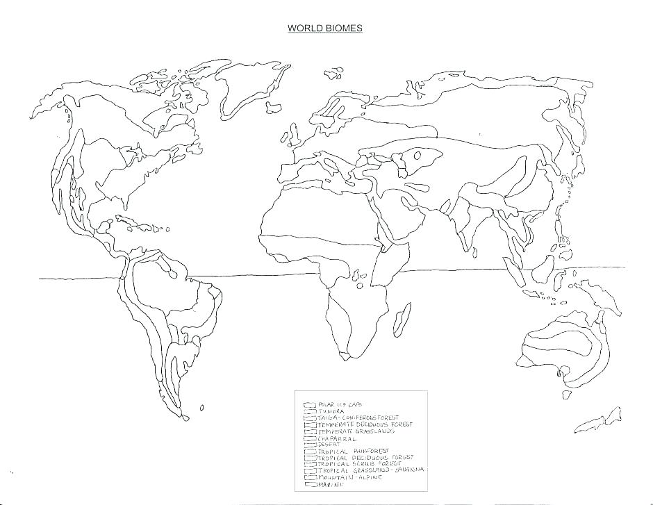 Grassland Plants Coloring Sheets Pages Basic Concepts 940x727 Grassland Plants Coloring Sheets Pages Basic Concepts