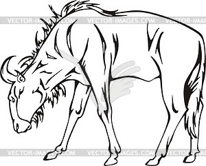 Wildebeest Clipart Black And White 300x241 Wildebeest Clipart Black And White