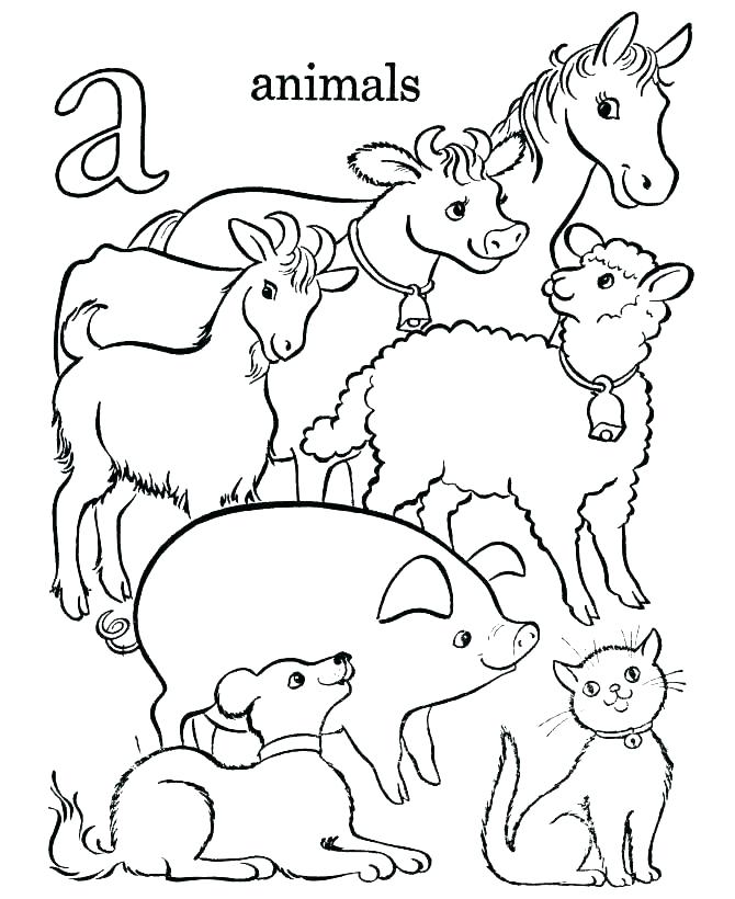 Color Pages Of Animals Animals Coloring Book Also Farm Animal 670x820 Color Pages Of Animals Animals Coloring Book Also Farm Animal
