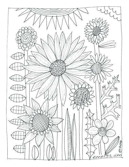 Wildflower Coloring Pages Wildflower Coloring Pages Free Adult 540x699 Wildflower Coloring Pages Wildflower Coloring Pages Free Adult