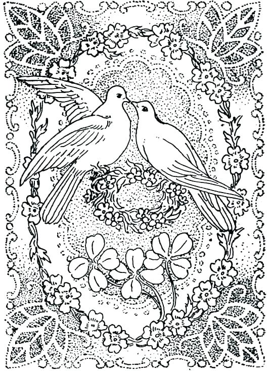 Wildflower Coloring Pages Wildflower Coloring Pages Great Love 534x734 Wildflower Coloring Pages Wildflower Coloring Pages Great Love
