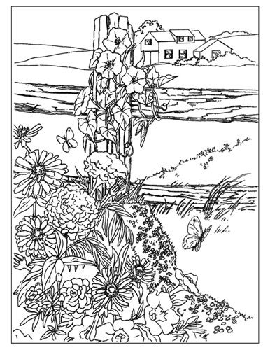 Line Drawing Of Wildflowers On Fence With House In Background 386x500 Line Drawing Of Wildflowers On Fence With House In Background