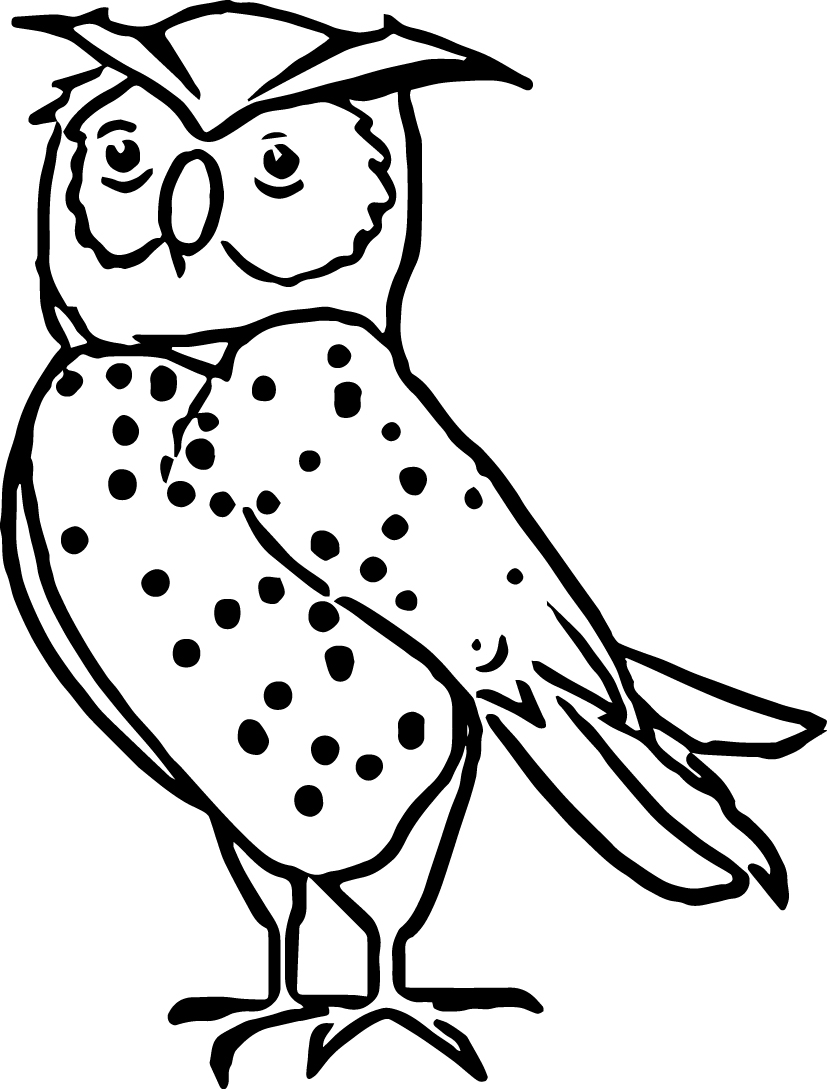 827x1089 Nocturnal Animals Coloring Pages Nocturnal Animals