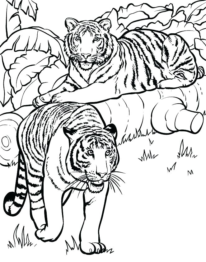 662x842 Wildlife Coloring Pages Animal Coloring Pages Printable Free