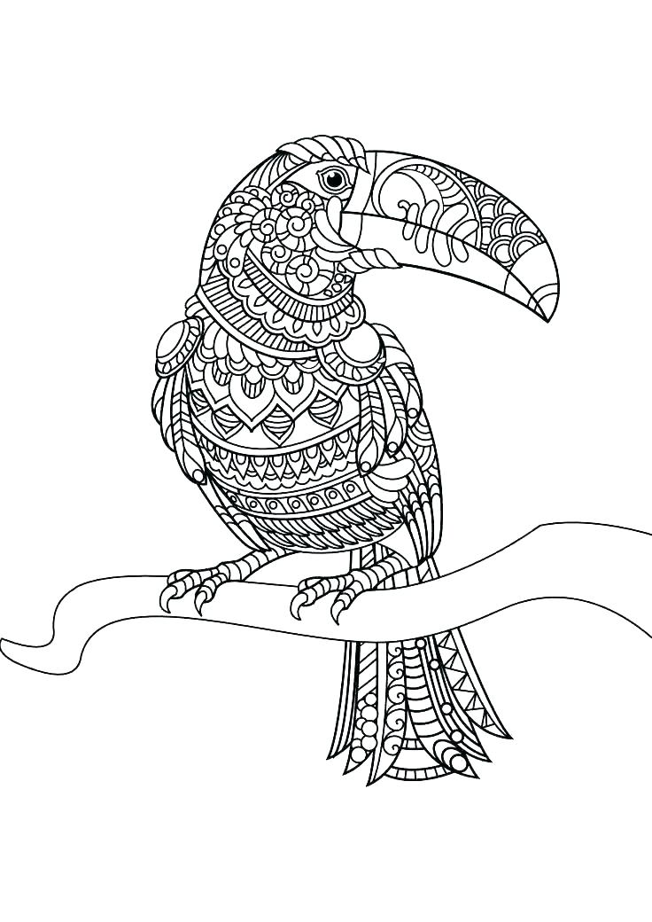 736x1040 Australian Animals Coloring Pages Animals Coloring Pages Free Zoo