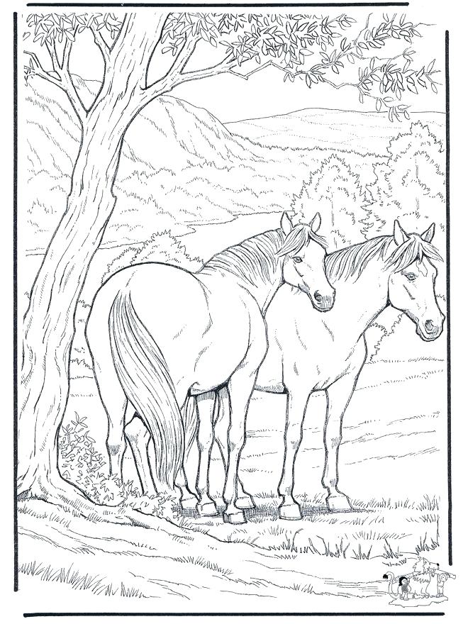 660x880 Amazing Animal Coloring Pages For Adults For Coloring Pages