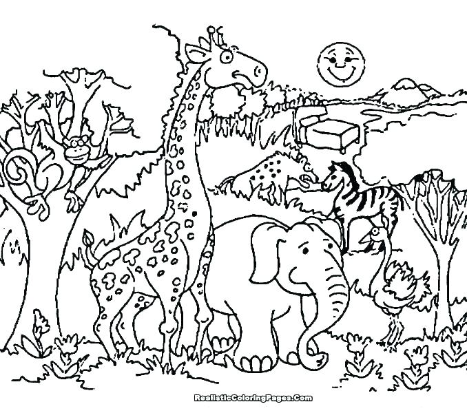 678x600 Farm Animal Coloring Pages To Print