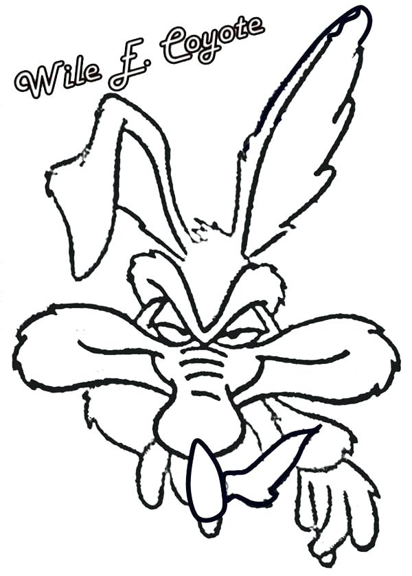Coyote Coloring Pages Tunes Coloring Pages Picture Of Wile E 600x839 Coyote Coloring Pages Tunes Coloring Pages Picture Of Wile E