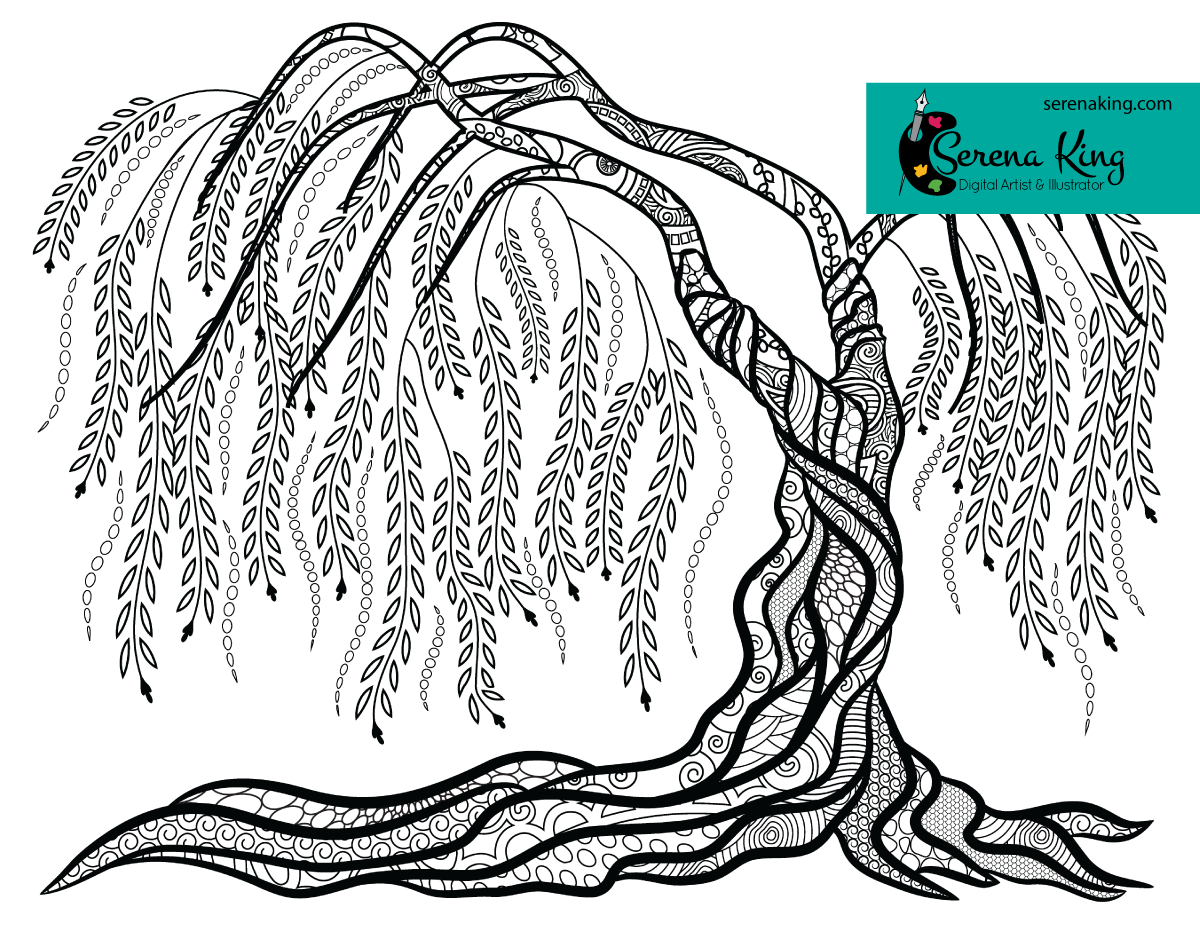 1200x927 Weeping Willow Tree Coloring Page Willow Tree