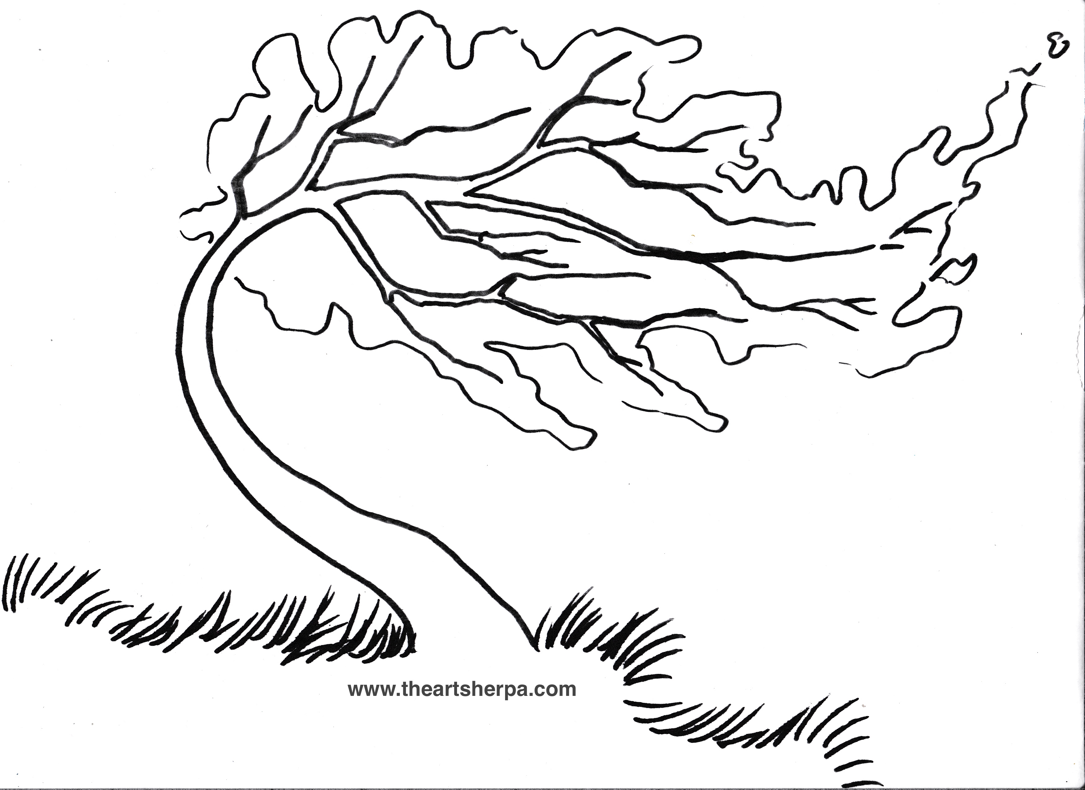 3504x2552 Coloring Page Willow Tree Copy Tree Leaves Coloring Pages